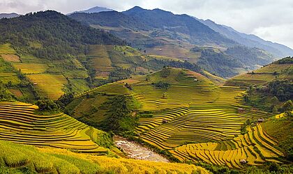 Vietnam et Cambodge - Circuit