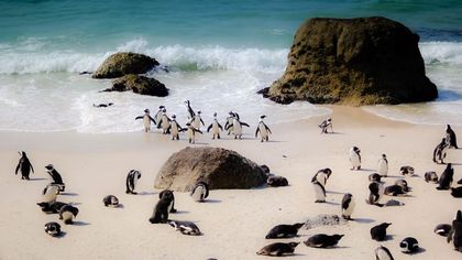 DE CAPE TOWN A JOHANNESBURG